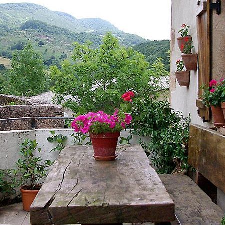 Casa Rural Parriola Villanueva de Arce Екстериор снимка