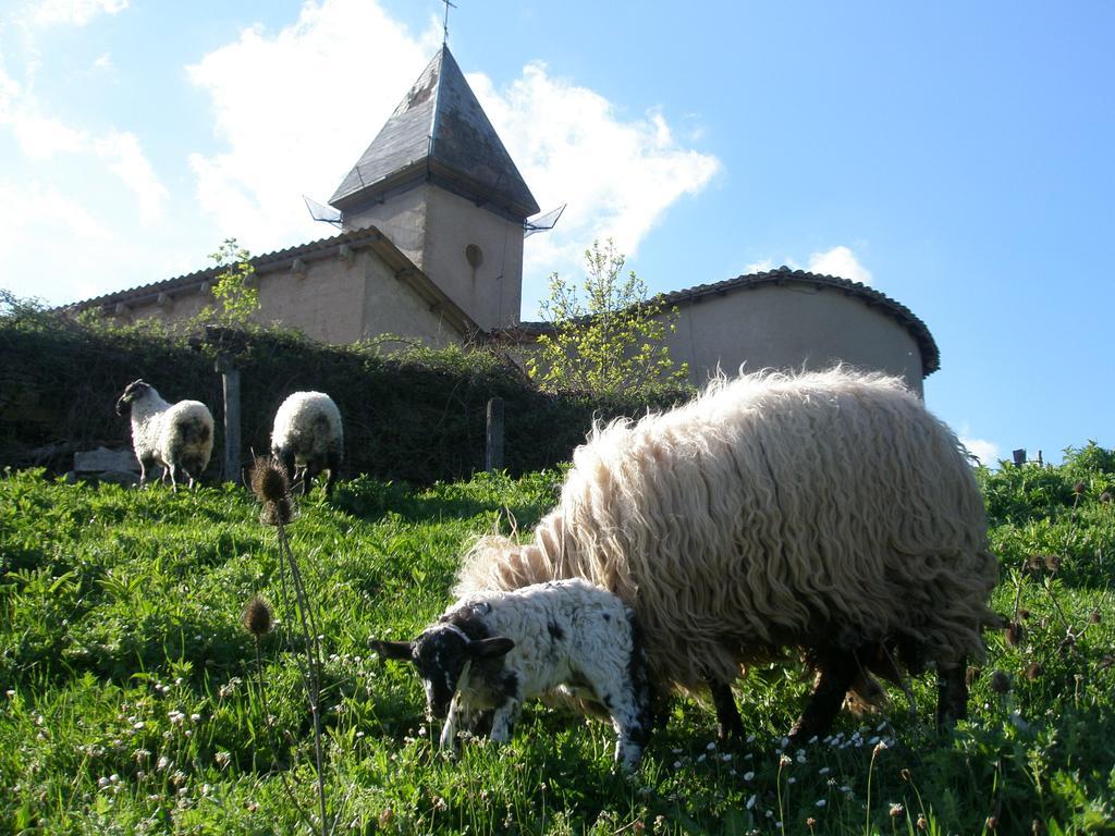 Casa Rural Parriola Villanueva de Arce Екстериор снимка